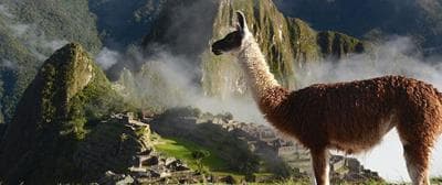 Ticket Machu Picchu only – morning shift